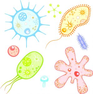 microorganisms
