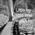 Little by Little One Walks Far