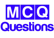 Multiple Choice Questions (MCQs)